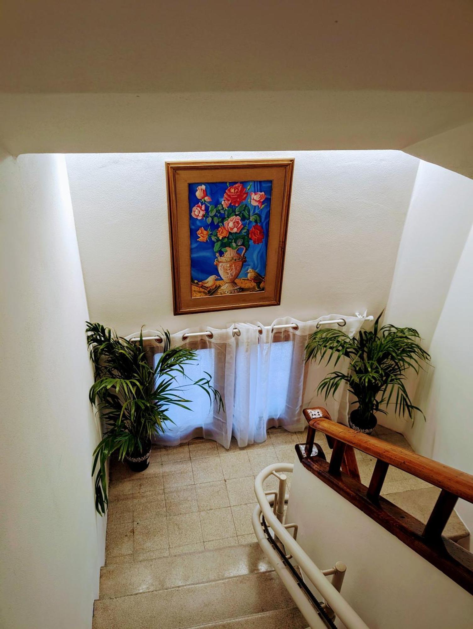 Guest House Il Glicine Stadio - Ospedale Cesena Kültér fotó